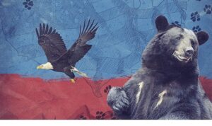 2 Bölümden Oluşan ‘Amerika’nın Hayvanları’,   24 Mayıs Pazar Saat 20.00’de  National Geographic WILD Ekranlarında Başlıyor!